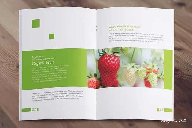 農(nóng)產(chǎn)品畫冊(cè) 第3張 農(nóng)產(chǎn)品畫冊(cè) 第3張